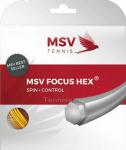 MSV Focus-Hex 123/16L Ƹ 12,0