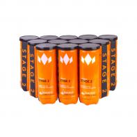    DIADEM Stage 2 Orange 3PET*12